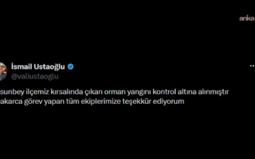 Dursunbey Orman Yangını