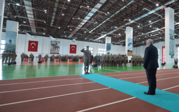 Bordo Bereliler
