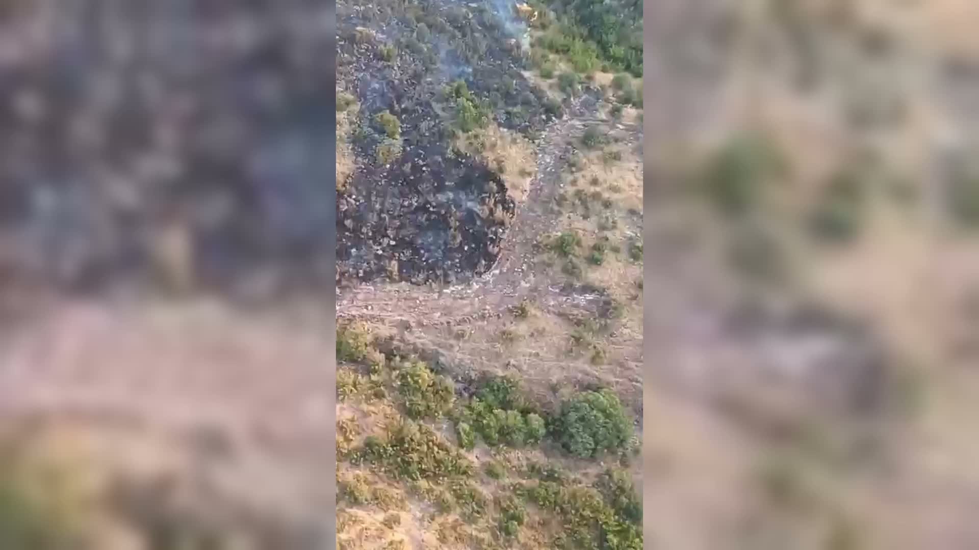 Sındırgı’daki orman