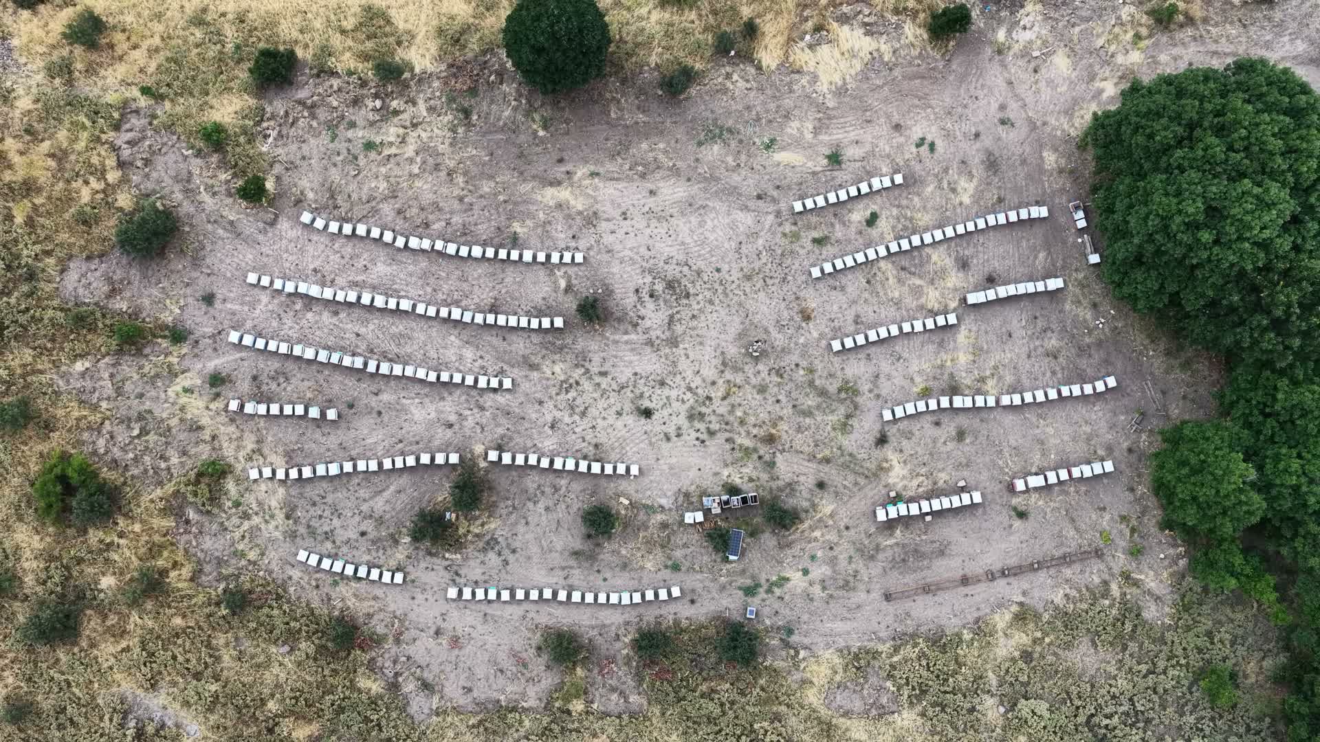 Tunceli arıcılık