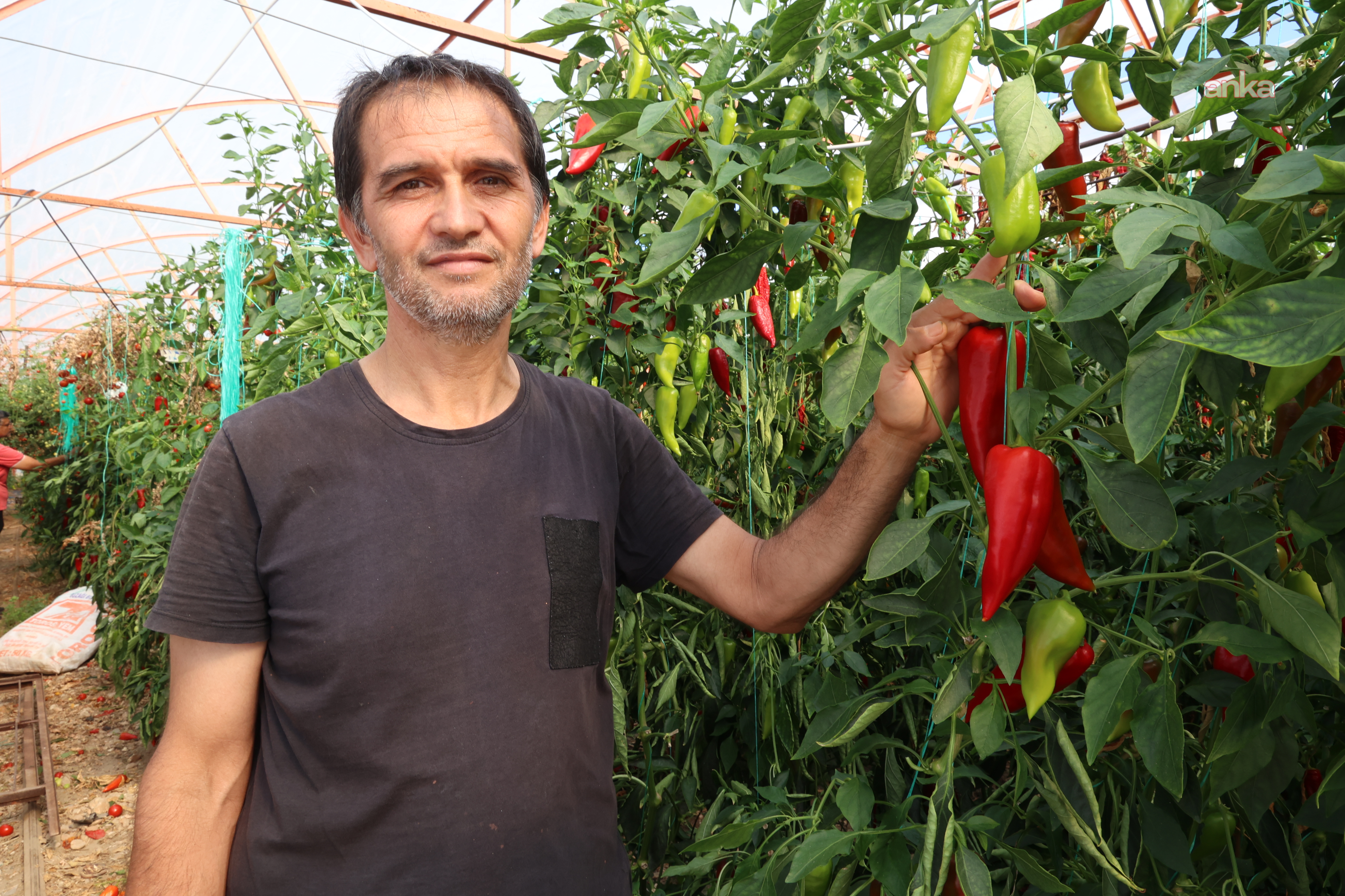 Sulama Destekleri