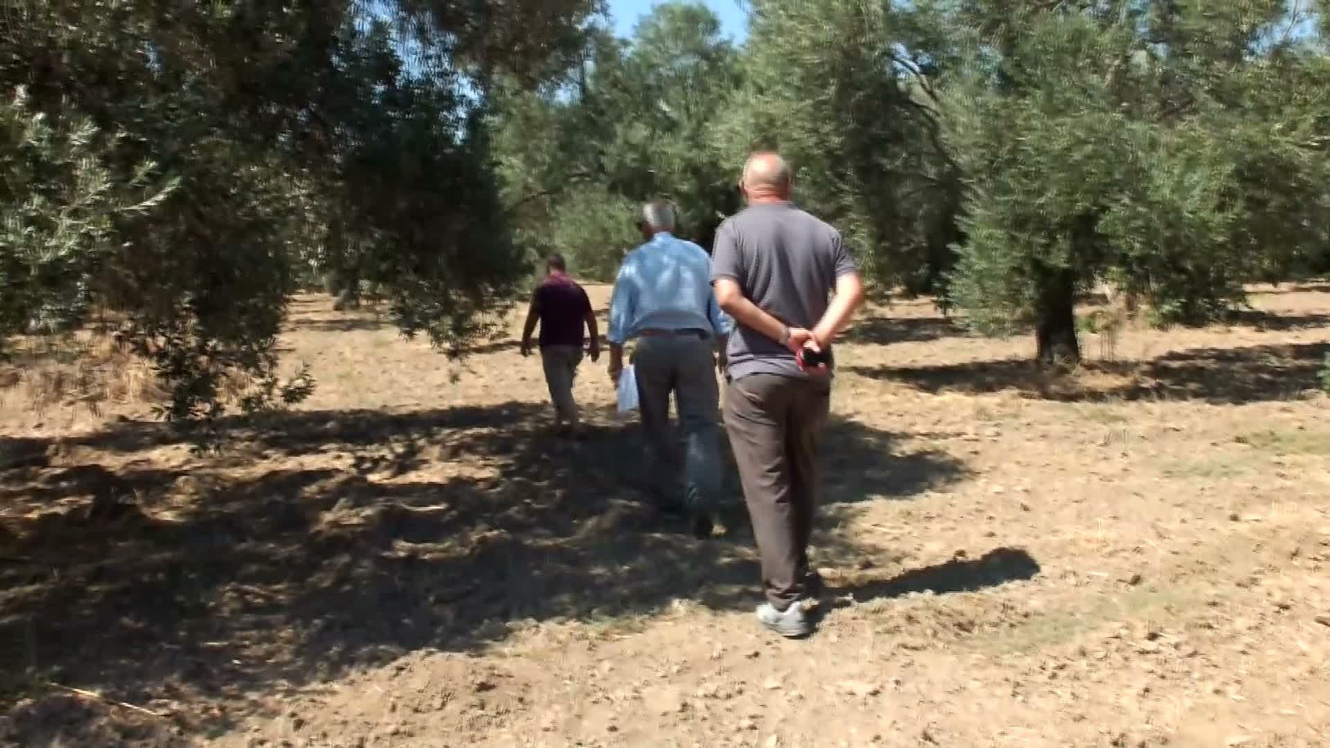 devlet desteği