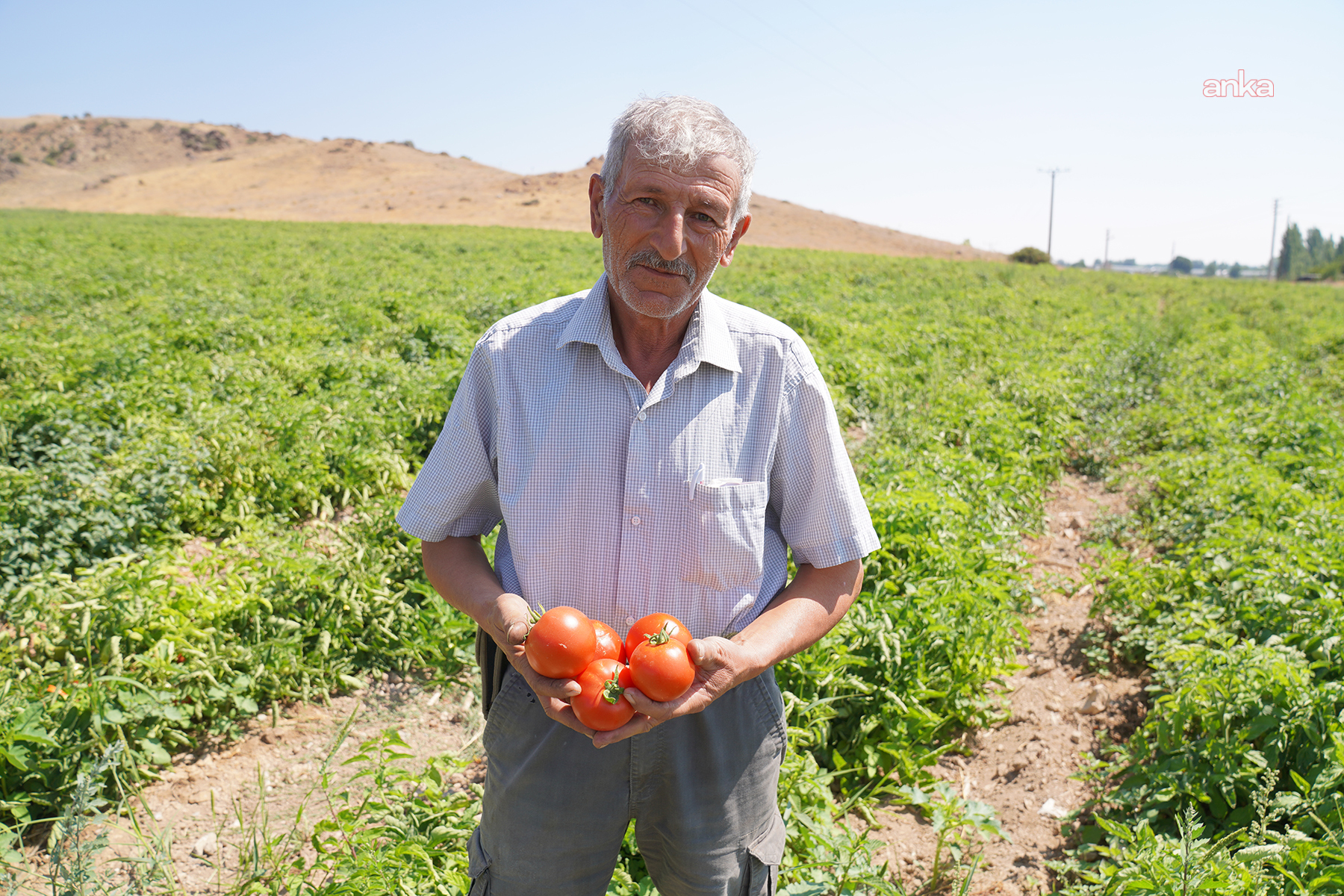 Erken Uyarı Sistemi