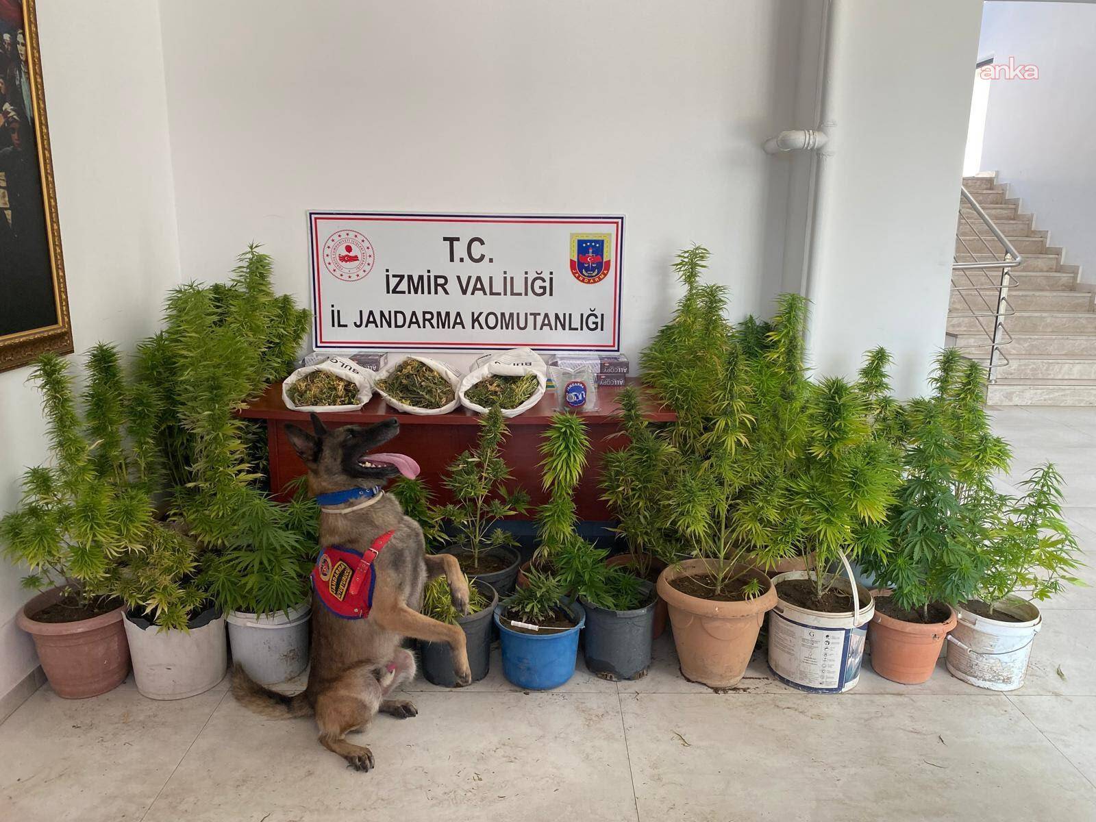 Esrar Operasyonu