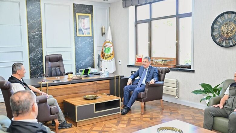 Orman yangınları