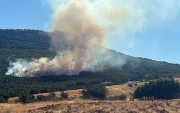 Yayla Mahallesi