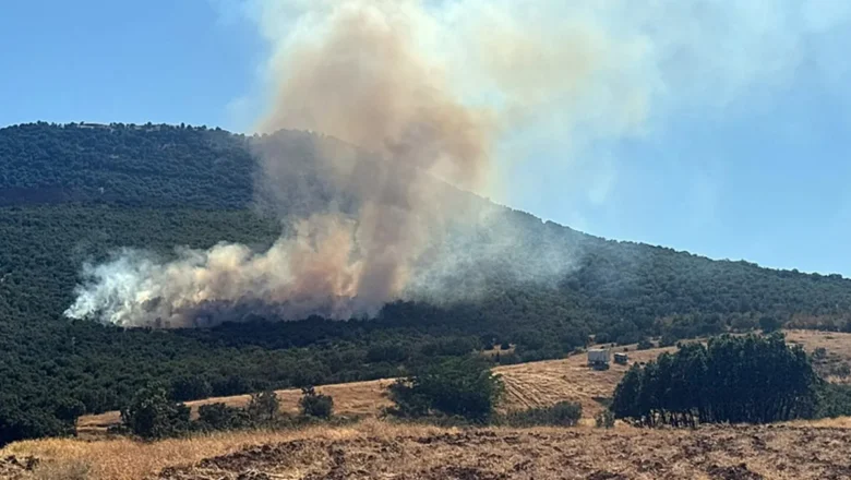 Yayla Mahallesi